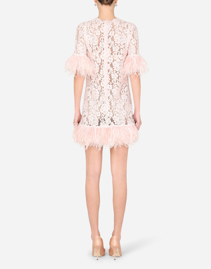 Dolce & Gabbana  ROSA F6I7EZHLMEA