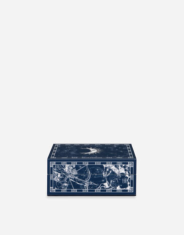 Dolce & Gabbana Small Decorated Plexiglass Box Multicolor TCC202TCAMY