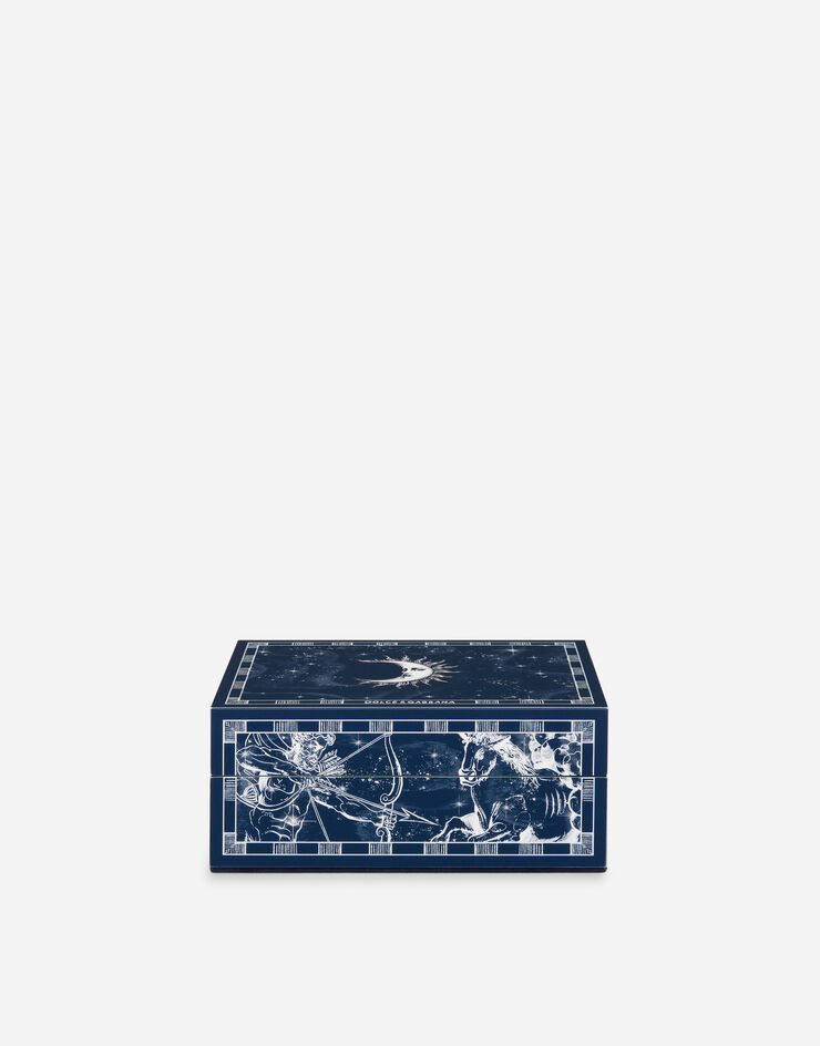 Dolce & Gabbana Kleine dekorierte Plexiglas-Box Dolce & Gabbana Kleine dekorierte Plexiglas-Box Mehrfarbig TCC202TCAMY
