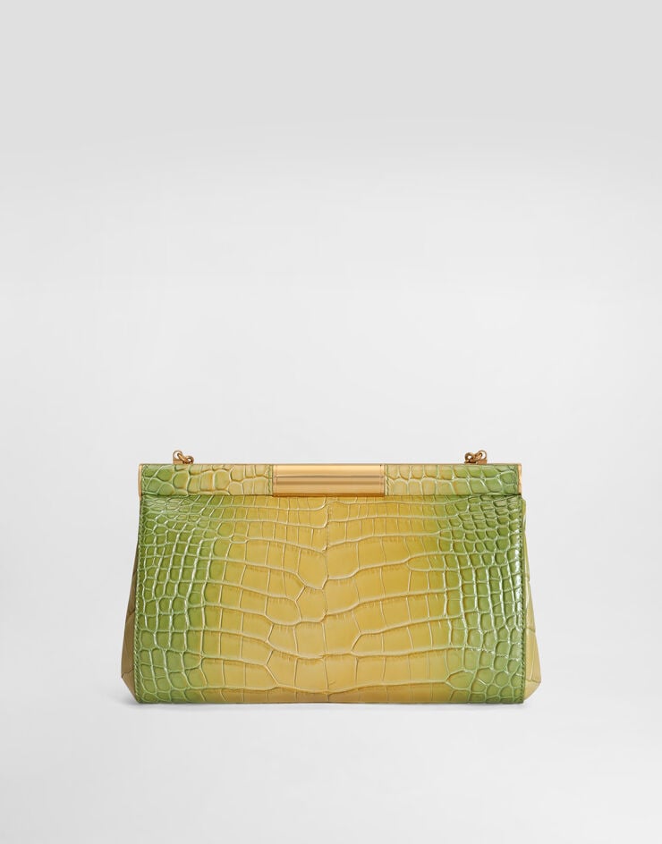 Dolce & Gabbana Marlene degradé alligator shoulder bag Multicolor BB7620A2H57