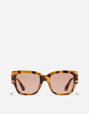 Dolce & Gabbana DG Griffe Sunglasses Yellow havana VG4563VP663