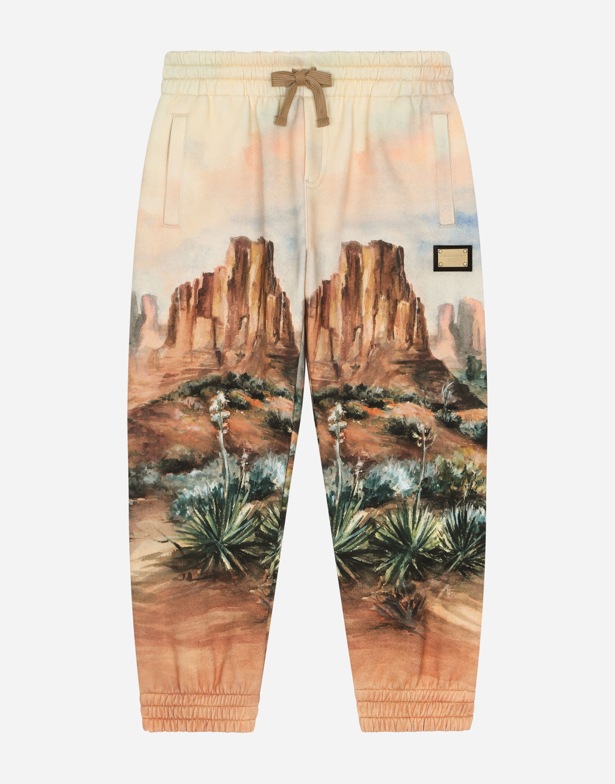 Dolce & Gabbana Cotton jogging pants with canyon print and logo tag Brown L4JWFQG7L1Z