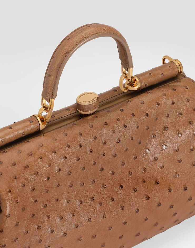 Dolce & Gabbana حقيبة يد Grandma كبيرة من جلد نعامة Dolce & Gabbana حقيبة يد Grandma كبيرة من جلد نعامة متعدد الألوان BB7992B8G31