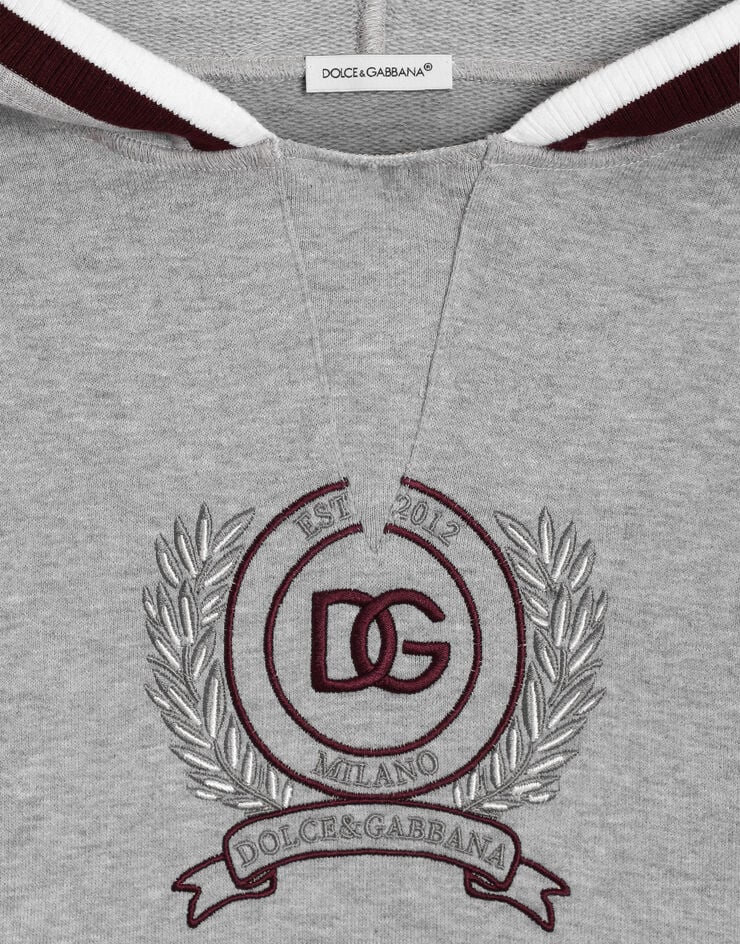 Dolce & Gabbana Hooded sweatshirt with embroidery Grey L4JWNJG7PUY