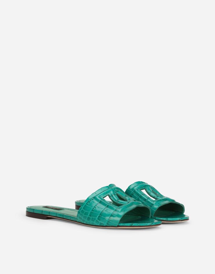 Dolce & Gabbana Crocodile skin side slides with DG Millennials logo MULTICOLOR CQ0436A2W90