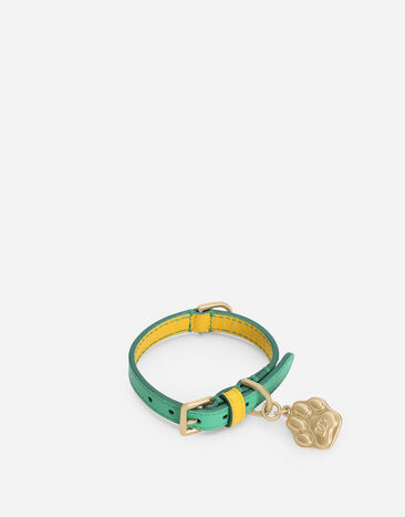 Dolce & Gabbana Dog collar Print BD0009A6456