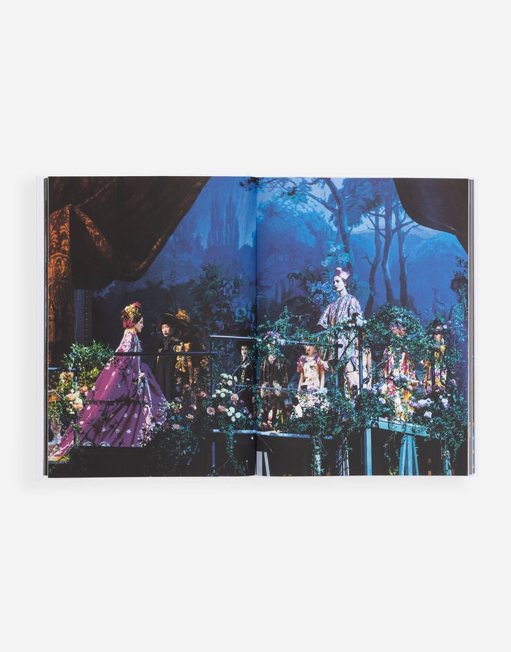 Dolce & Gabbana Dolce&Gabbana Alta Moda Multicolor VL1161VLTW2