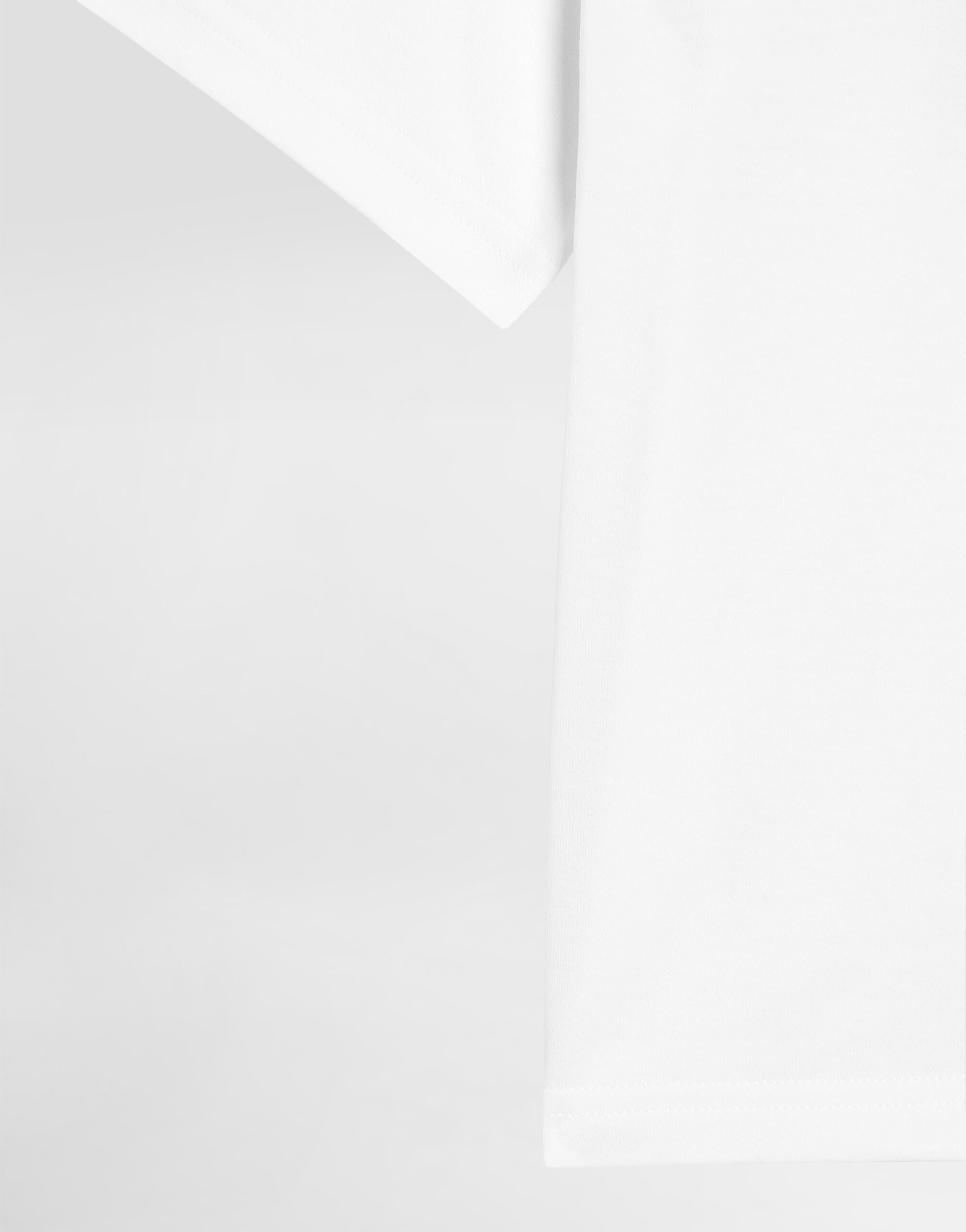 Jersey round-neck T-shirt with DG Milano embroidery in White for