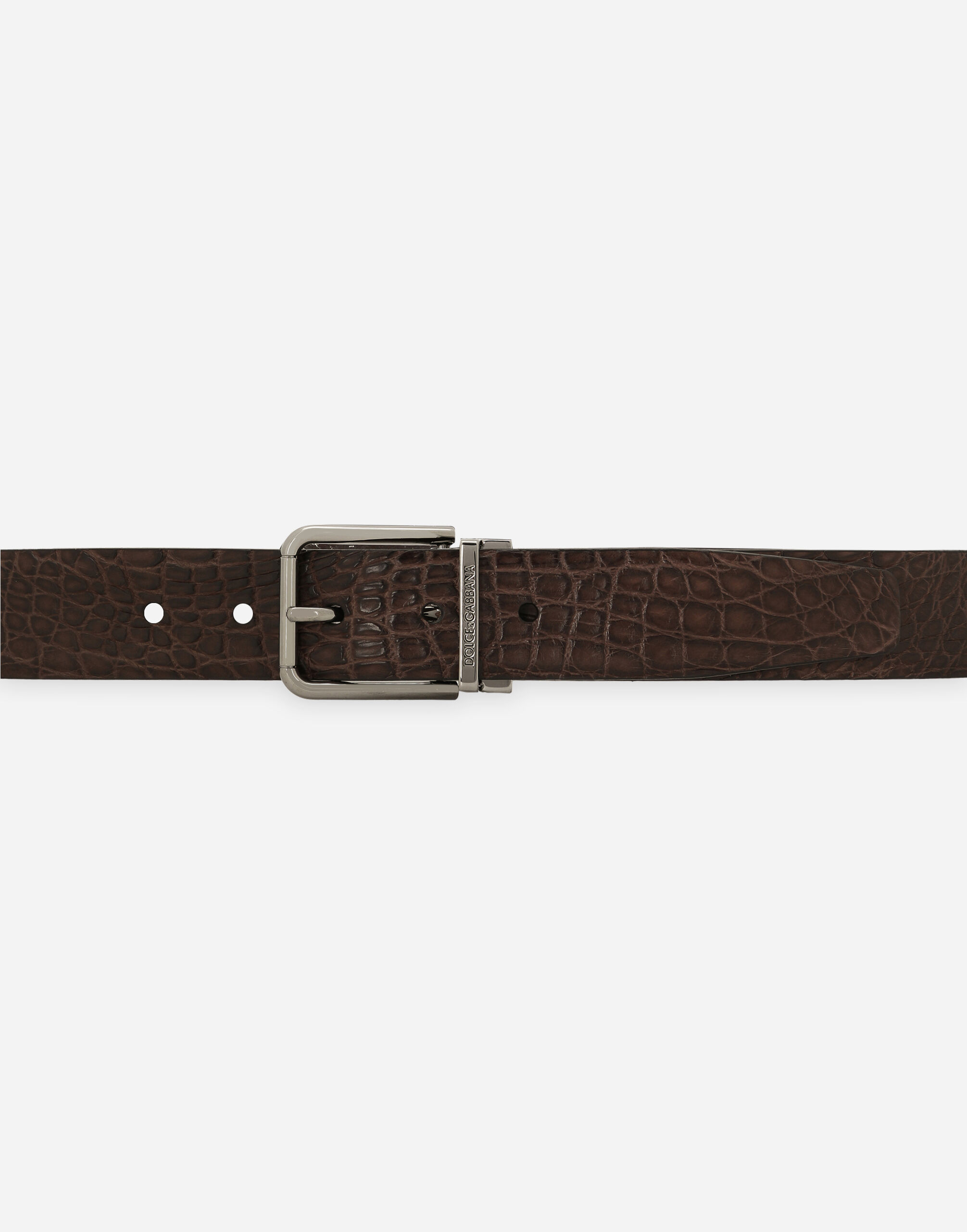 Crocodile nappa belt in BROWN for Men | Dolce&Gabbana® US