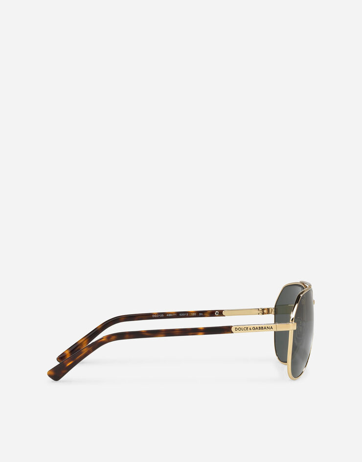Dolce & Gabbana نظارة شمسية DNA فضي داكن VG2125VM871