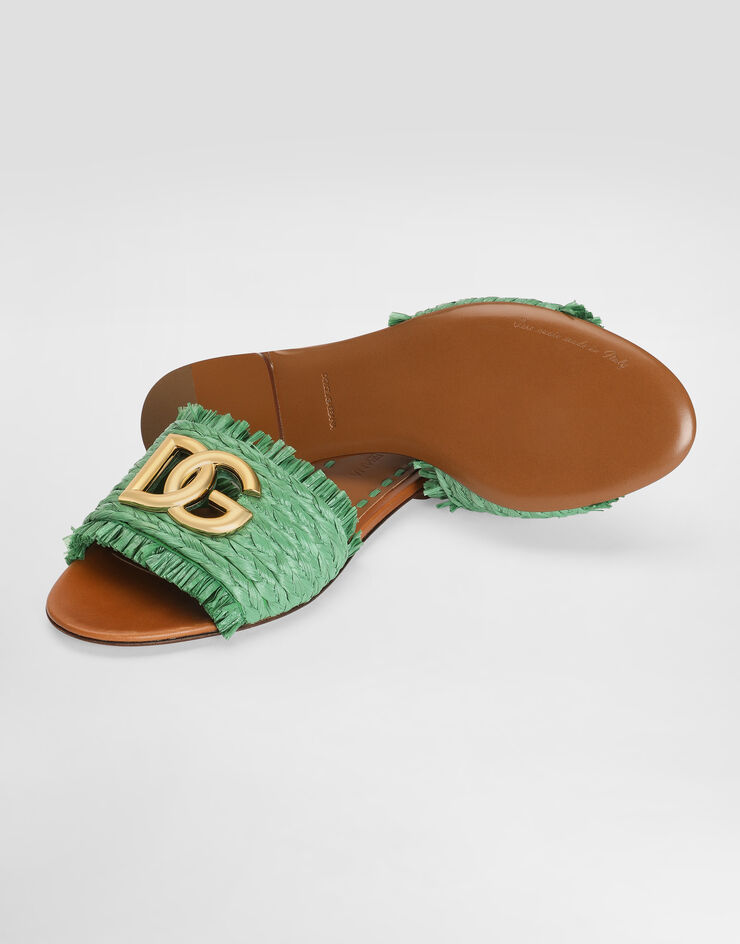 Dolce & Gabbana Raffia slippers Multicolor CQ0646AN217