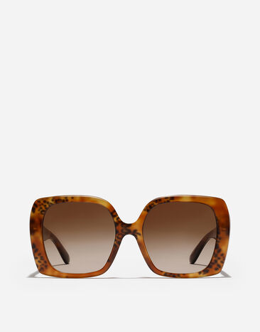 Dolce & Gabbana DG ALLURE Sunglasses Havana Leo VG4475VP013