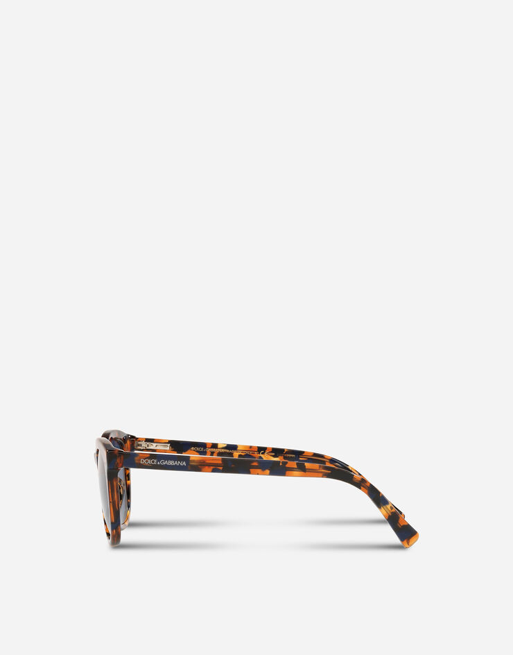 Dolce & Gabbana DNA sunglasses HAVANA VG4324VP880