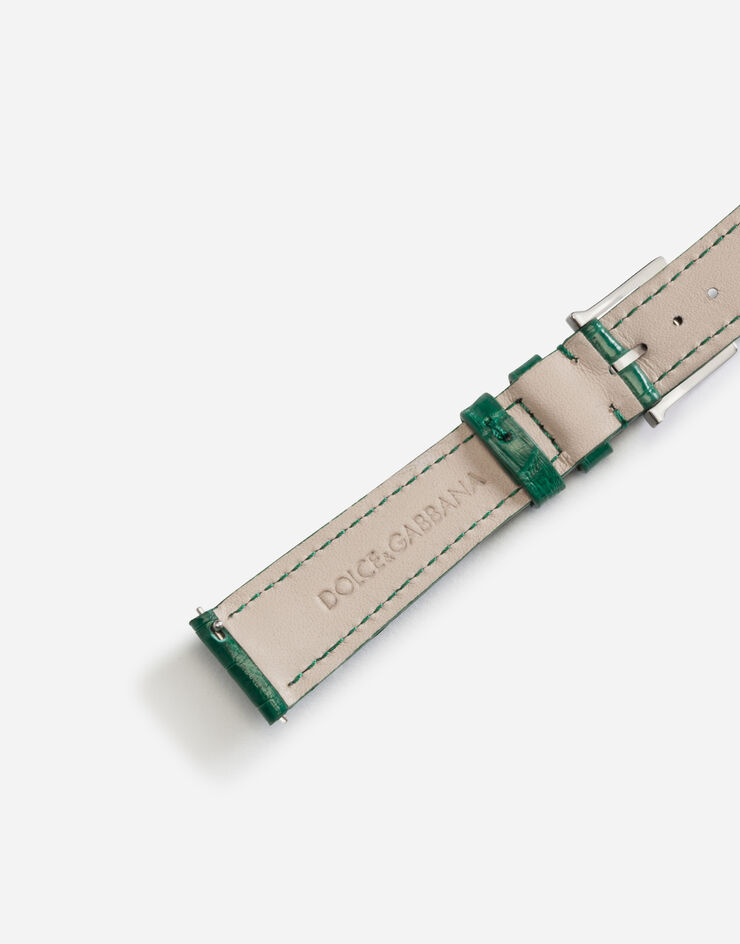 Dolce & Gabbana Cinturino in alligatore con fibbia ad ardiglione in acciaio Verde Scuro WSFE2LXLAC1