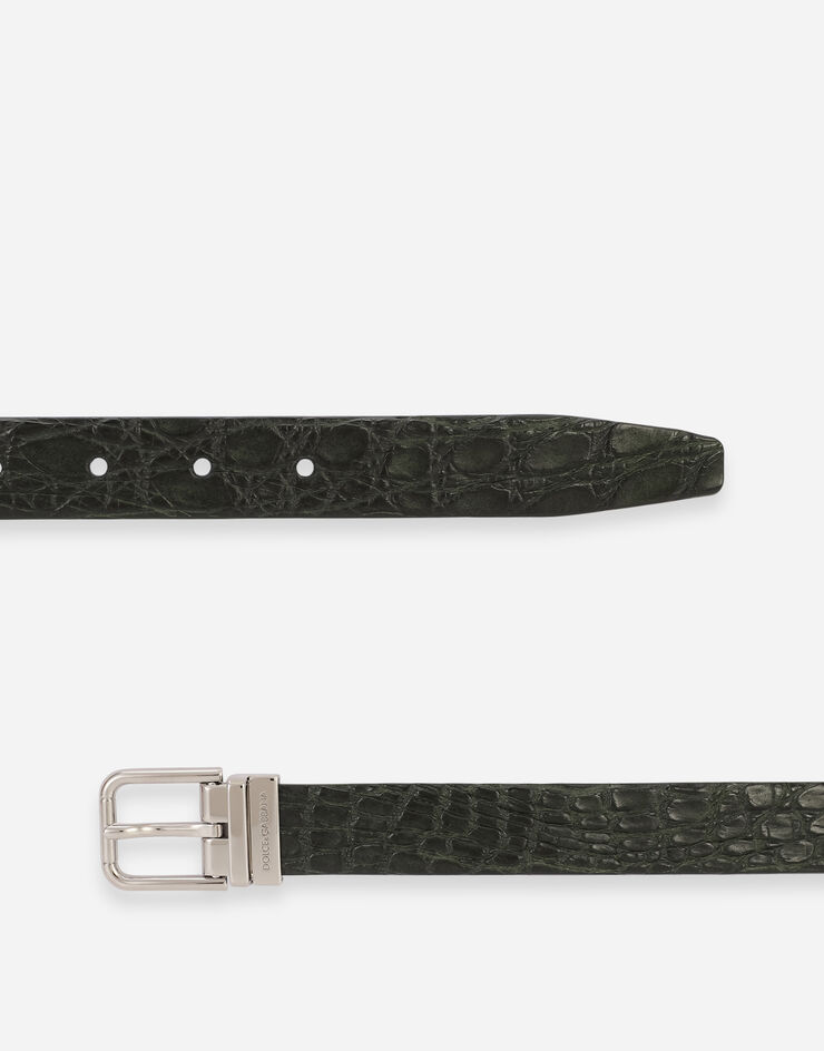 Dolce & Gabbana Crocodile skin belt VERT BC3614A2274