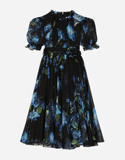 Dolce & Gabbana Chiffon dress with bluebell print Print L53DI6HS5QR