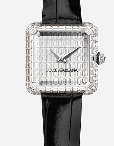 Dolce & Gabbana Sofia Invisible Setting watch Black WWLVSGXVPDA