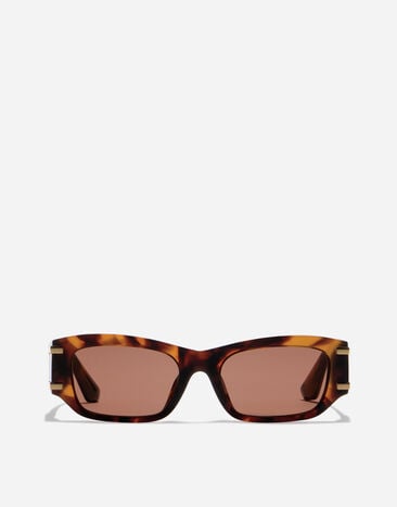 Dolce & Gabbana DG Griffe Sunglasses Red havana VG4564VP973