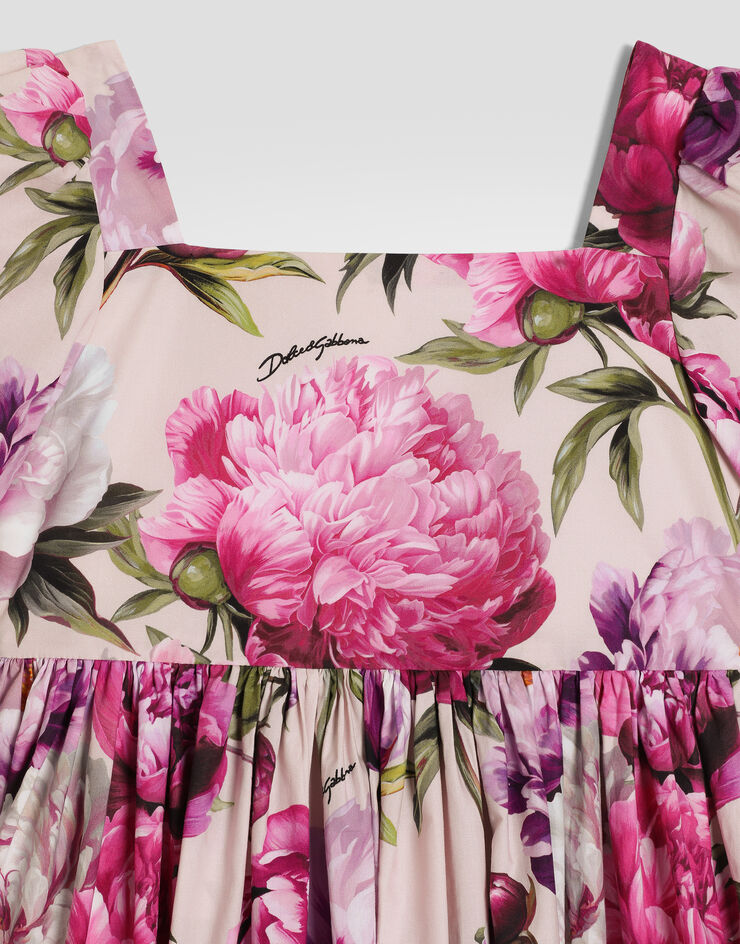 Dolce & Gabbana Peony-print poplin dress Multicolor L53DX2G7QZX