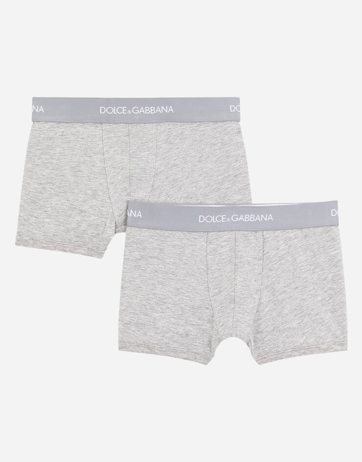 Dolce&Gabbana Boxer two-pack with branded elastic Grey L4J701G7OCT