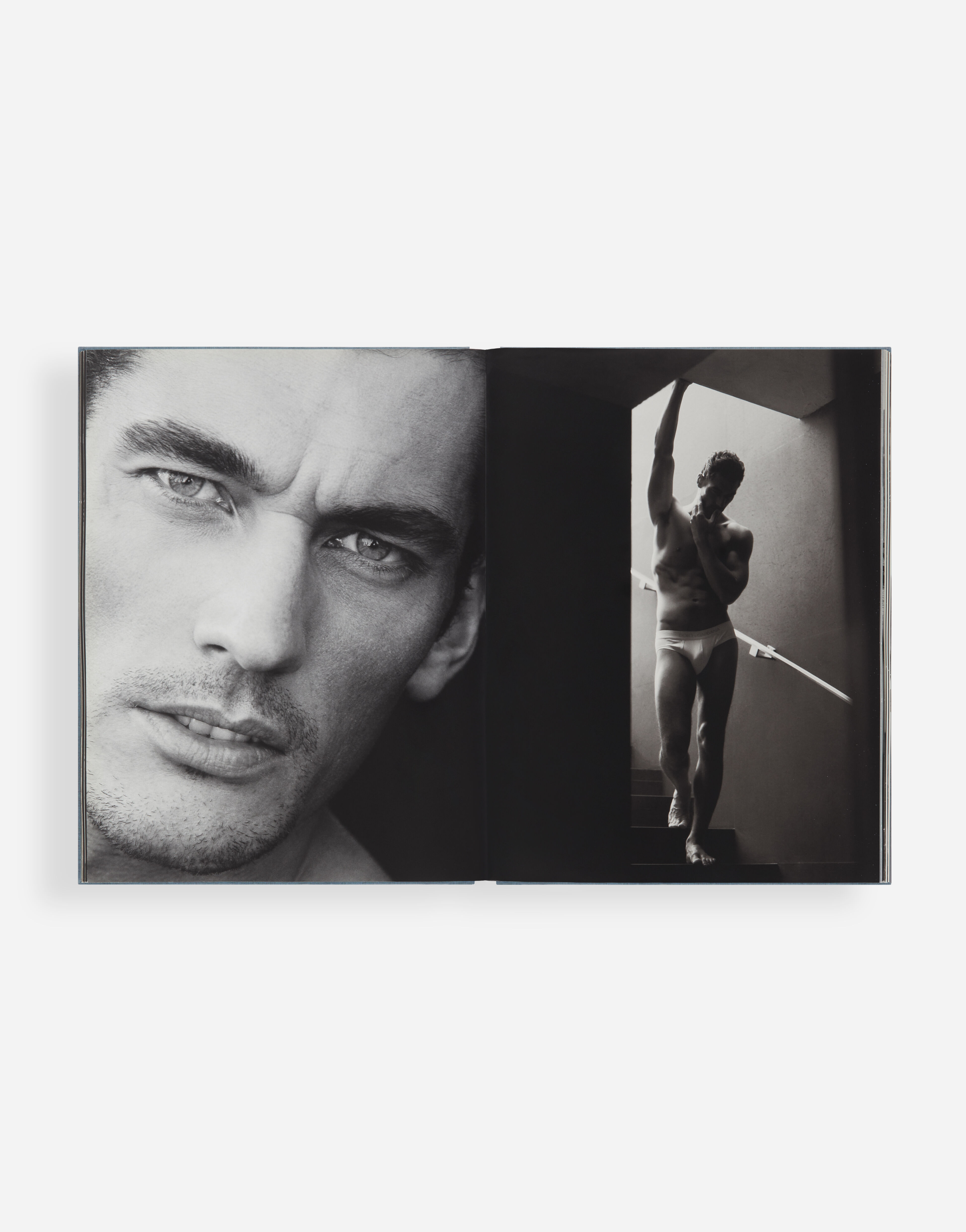 DAVID GANDY BY DOLCE&GABBANA in Multicolor | Dolce&Gabbana® US