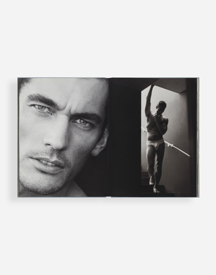 Dolce & Gabbana DAVID GANDY BY DOLCE&GABBANA Multicolor VL1014VLTW4