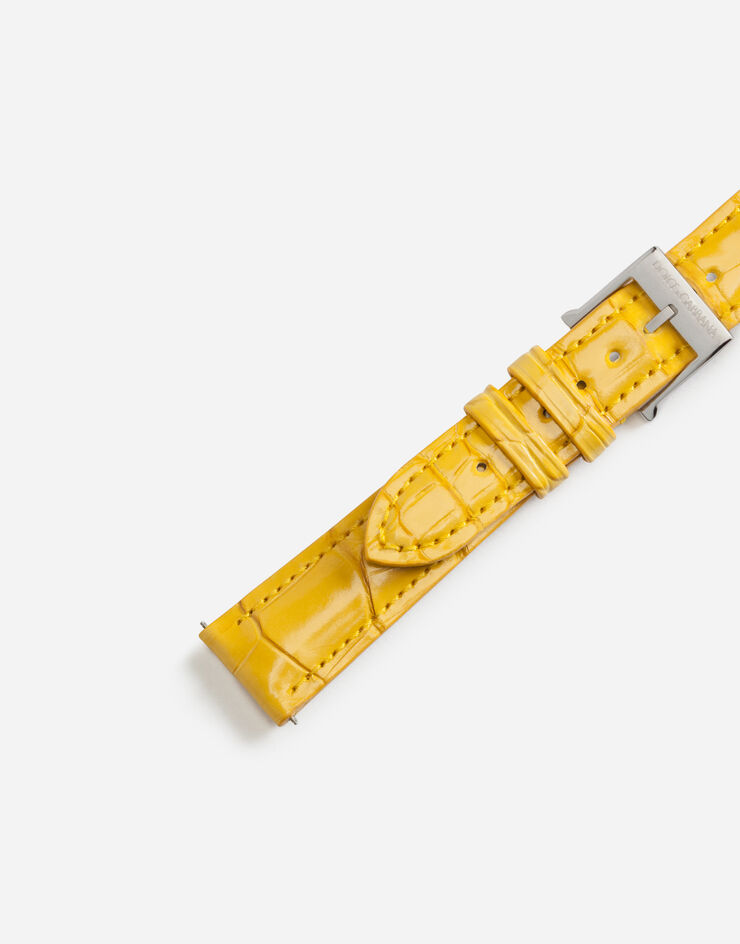 Dolce & Gabbana Bracelet en alligator avec boucle à ardillon en acier Jaune WSFE2LXLAC1