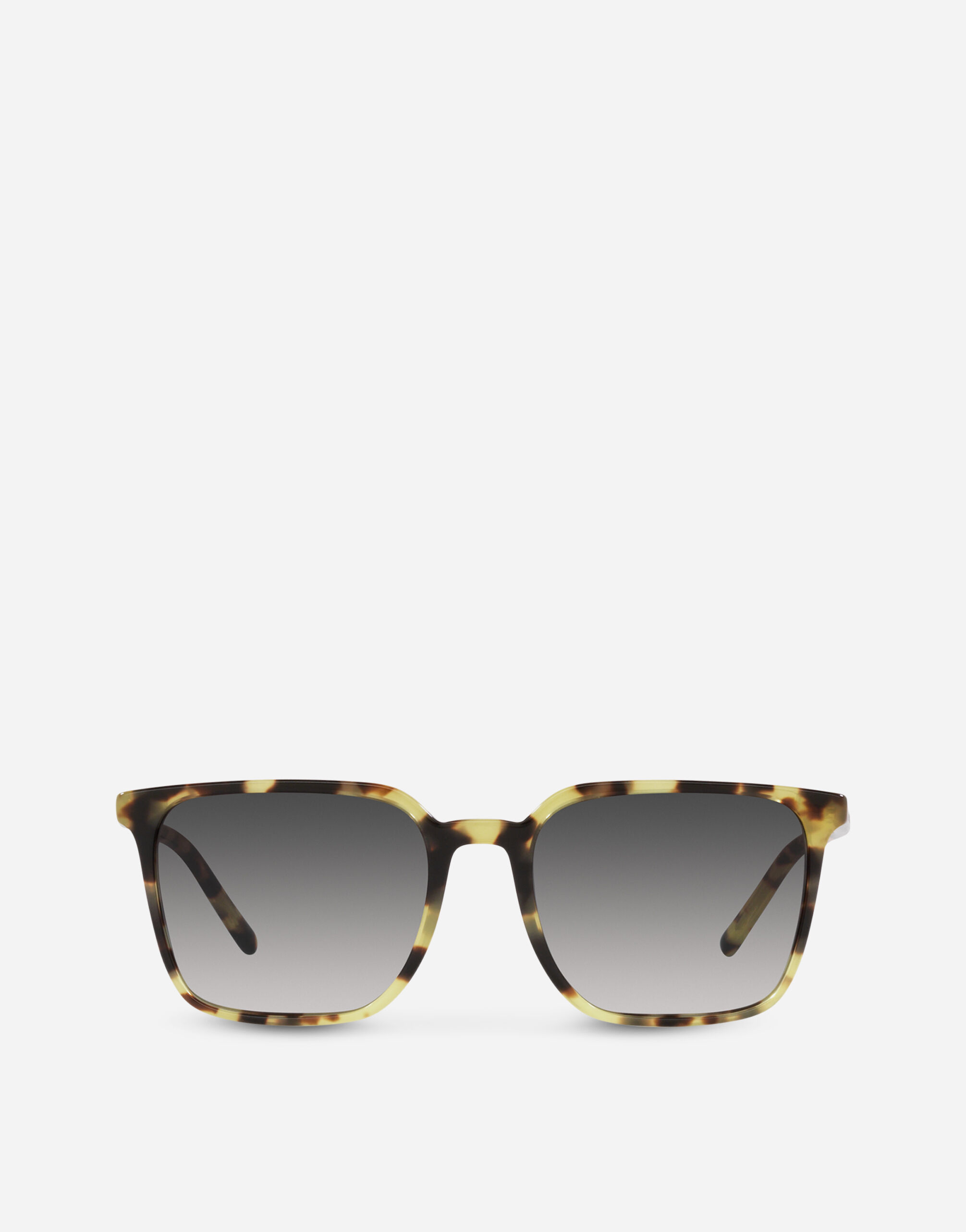 Dolce gabbana sale havana sunglasses