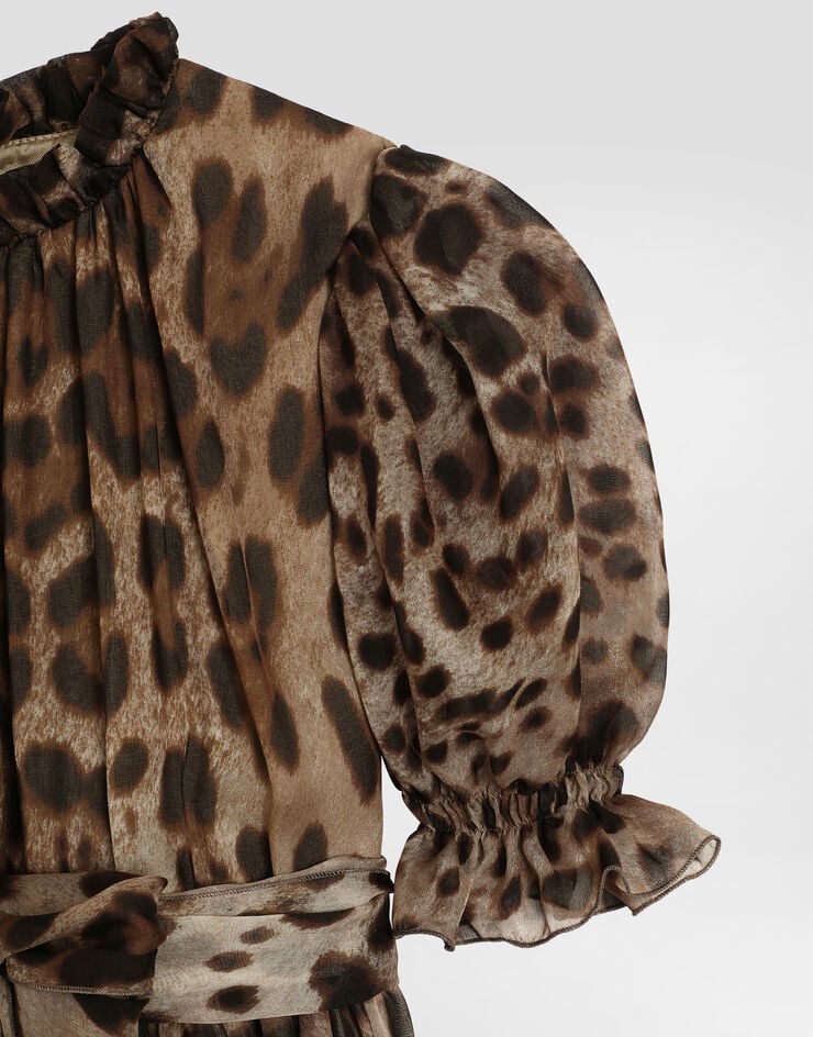 Dolce & Gabbana Leopard-print chiffon dress Print L54DO2FS1AR
