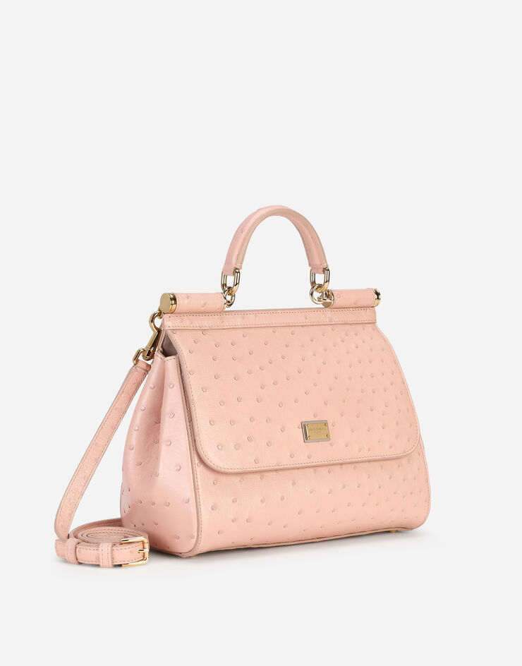 Dolce & Gabbana  粉红 BB6002A8M40