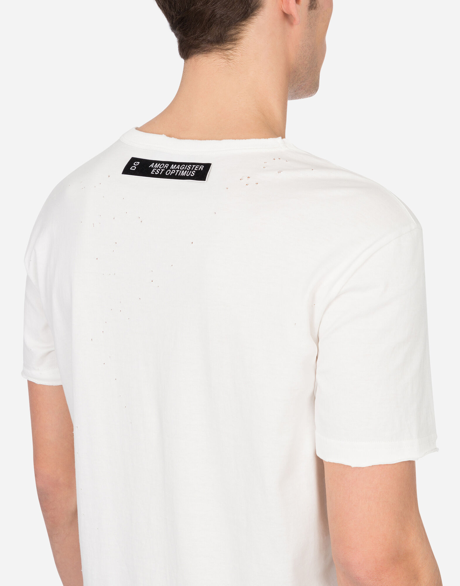Tシャツ プリントコットン