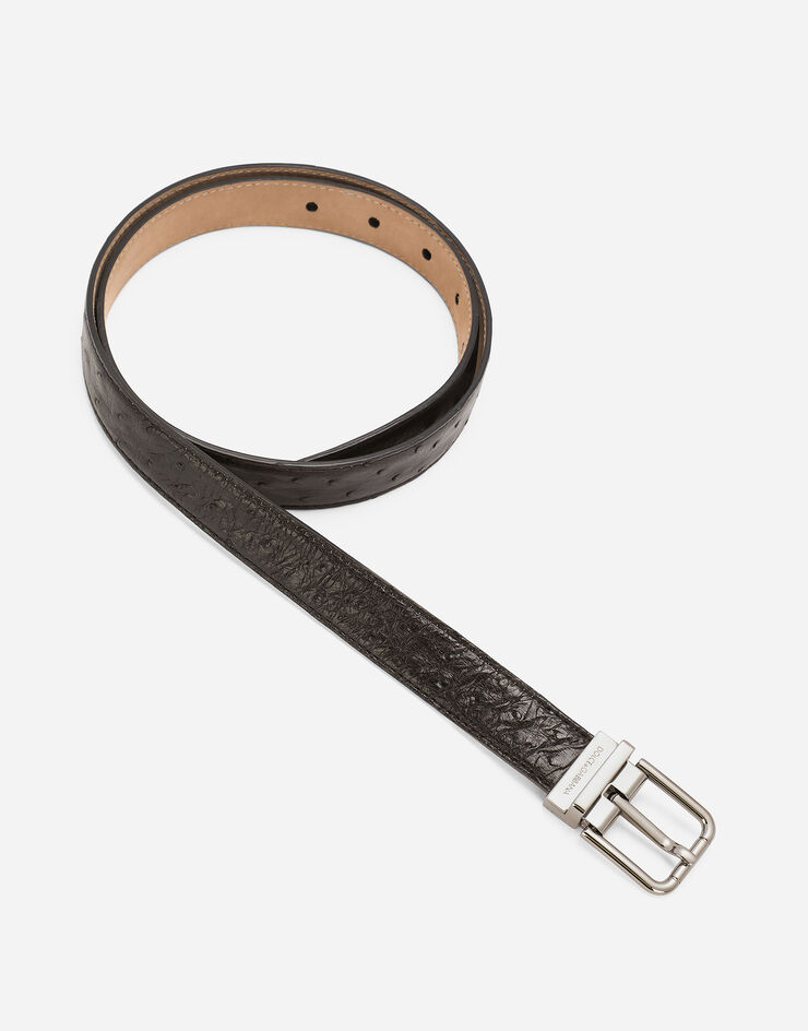 Dolce & Gabbana オーストリッチレザー ベルト Black BC4337A8M90