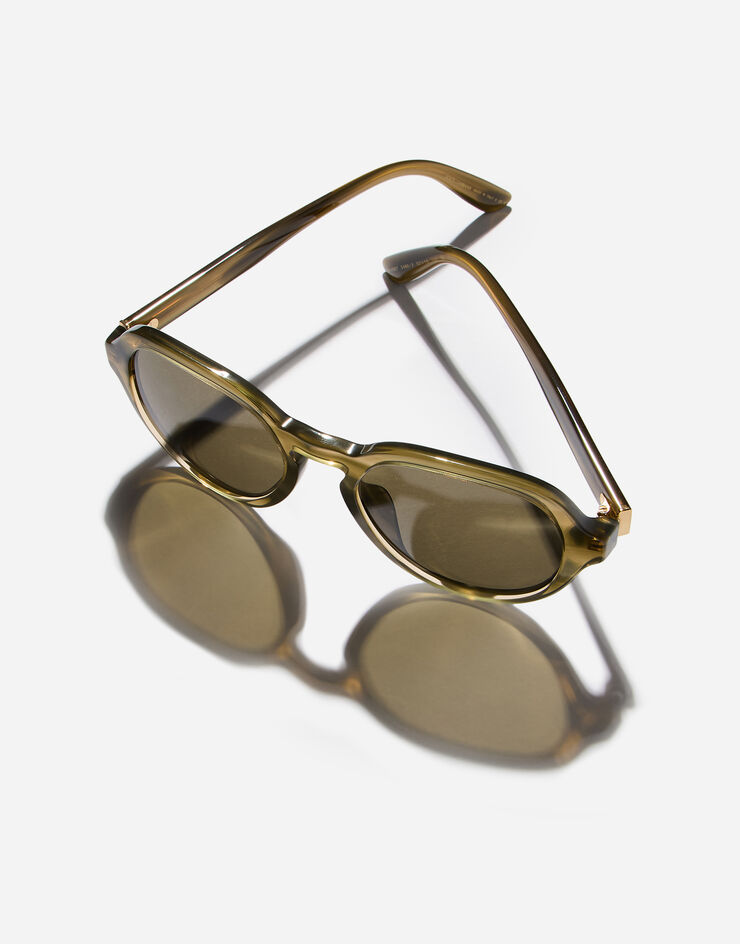 Dolce & Gabbana Everyday Sunglasses Dolce & Gabbana Everyday Sunglasses Tranpsarent green VG4567VP803