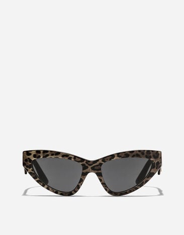 Dolce & Gabbana DG Crossed Sunglasses Leo brown on black VG4439VP387