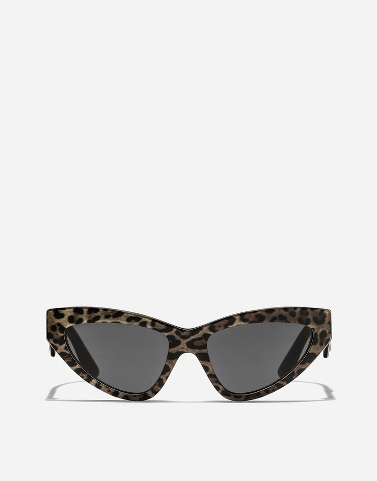 Dolce & Gabbana DG Crossed Sunglasses Leo brown on black VG4439VP387