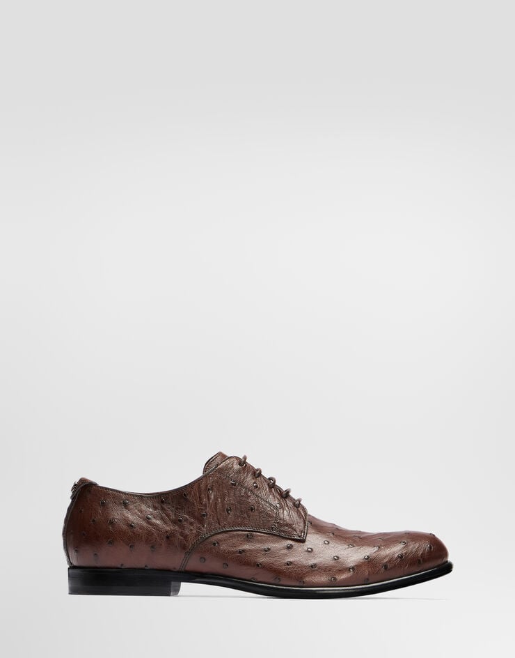 Dolce & Gabbana Ostrich leather derby shoes Dolce & Gabbana Ostrich leather derby shoes Brown A10939A8M90