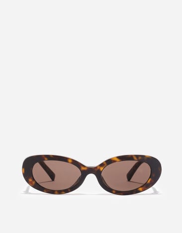 Dolce & Gabbana Devotion Sunglasses Havana VG4537VP273