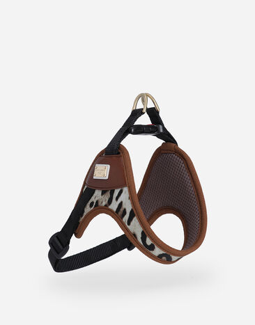 Dolce & Gabbana Dog harness Print BD0009A6456