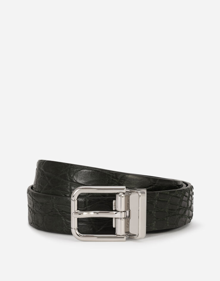Dolce & Gabbana Crocodile skin belt VERT BC3614A2274