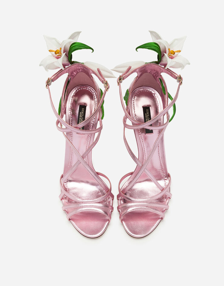 Dolce & Gabbana  PINK CR0565AA132