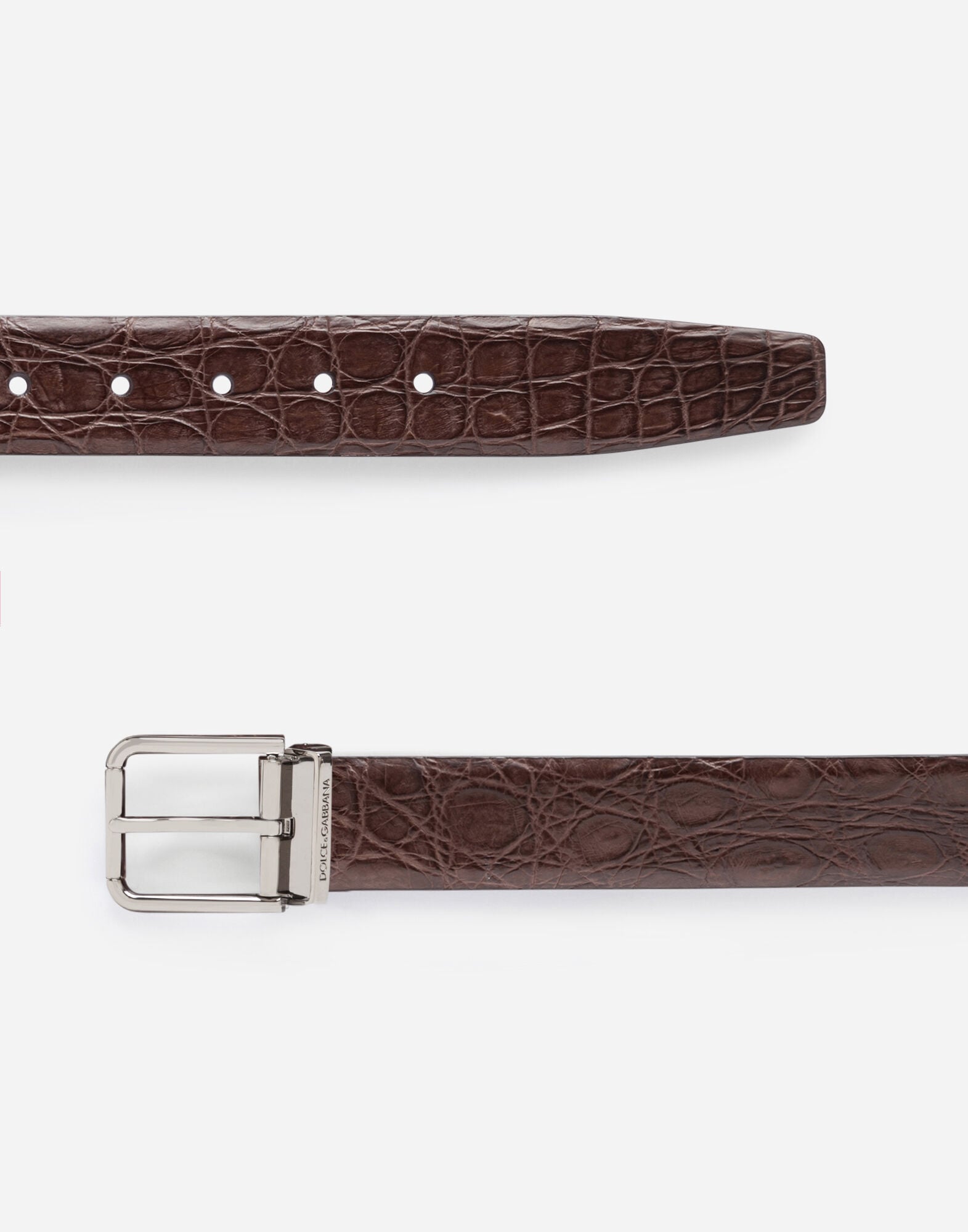 Crocodile nappa belt in BROWN for Men | Dolce&Gabbana® US