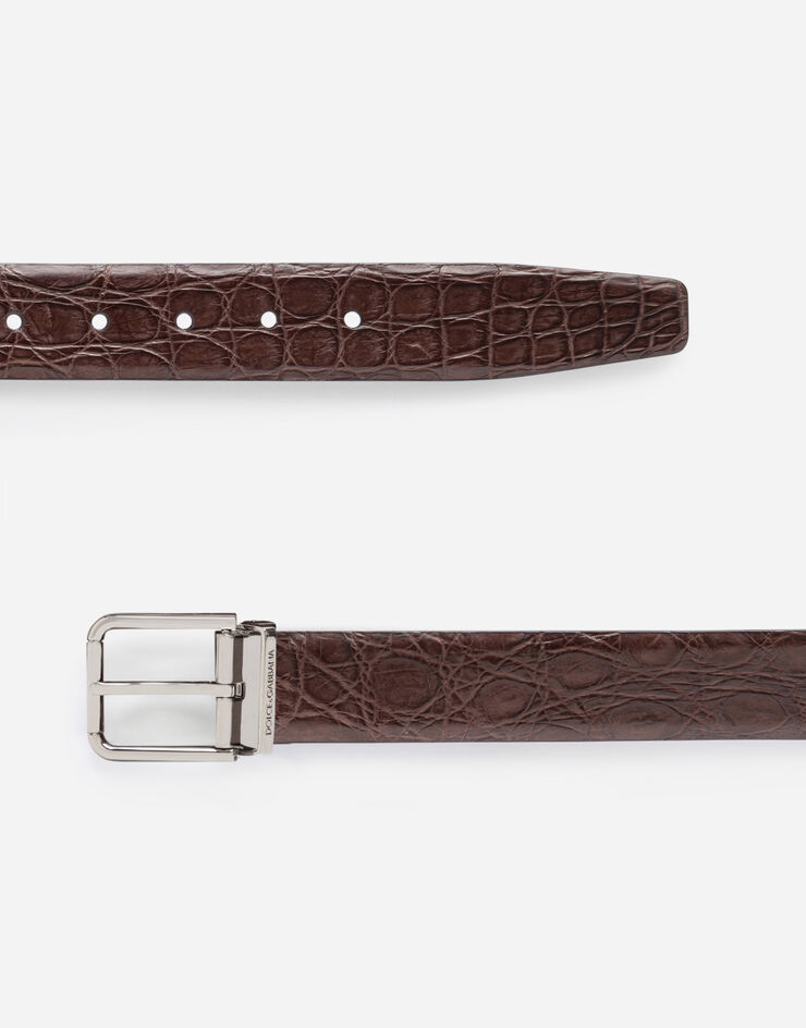 Dolce & Gabbana Crocodile nappa belt Brown BC4078A2107
