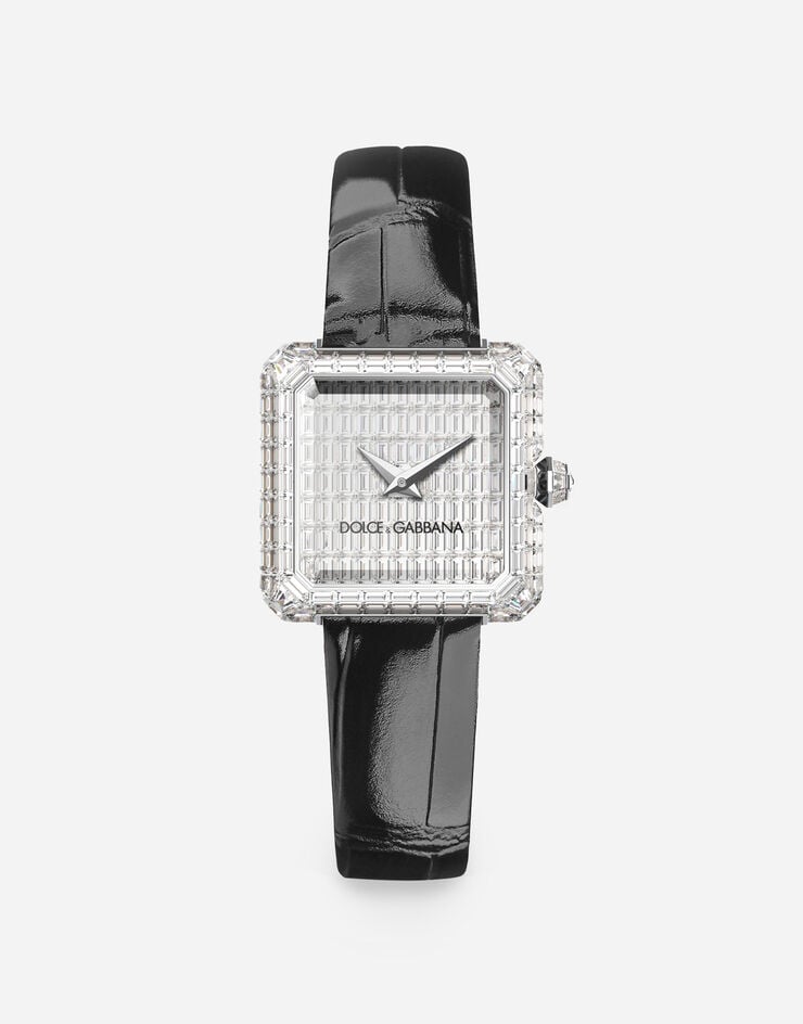 Dolce & Gabbana Sofia Invisible Setting watch Black WWLVSGXVPDA