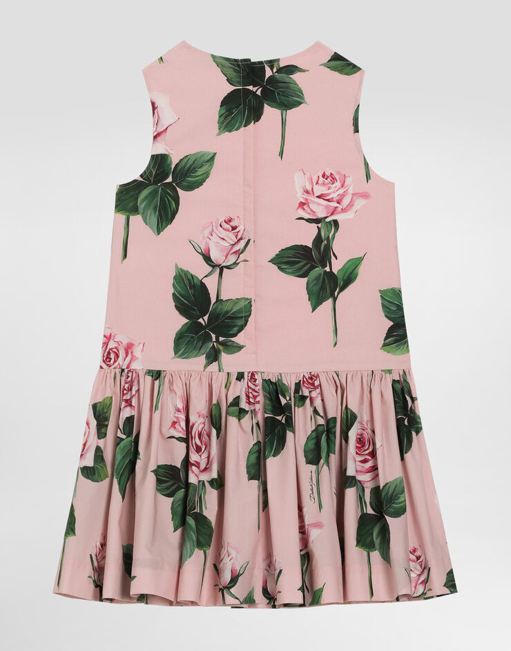 Dolce & Gabbana Vestido de popelina con estampado de rosas Imprima L53DH9HS5S7