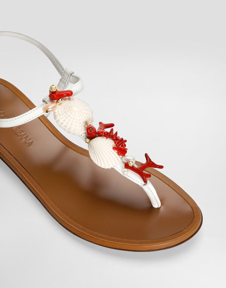 Dolce & Gabbana Nappa leather thong sandals with coral embroidery White CQ0604AW116