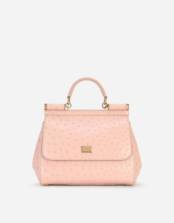 Dolce & Gabbana  粉红 BB6002A8M40