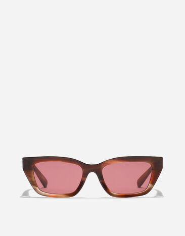 Dolce & Gabbana Gafas de sol DG Hinge Striped brown VG4532VP175