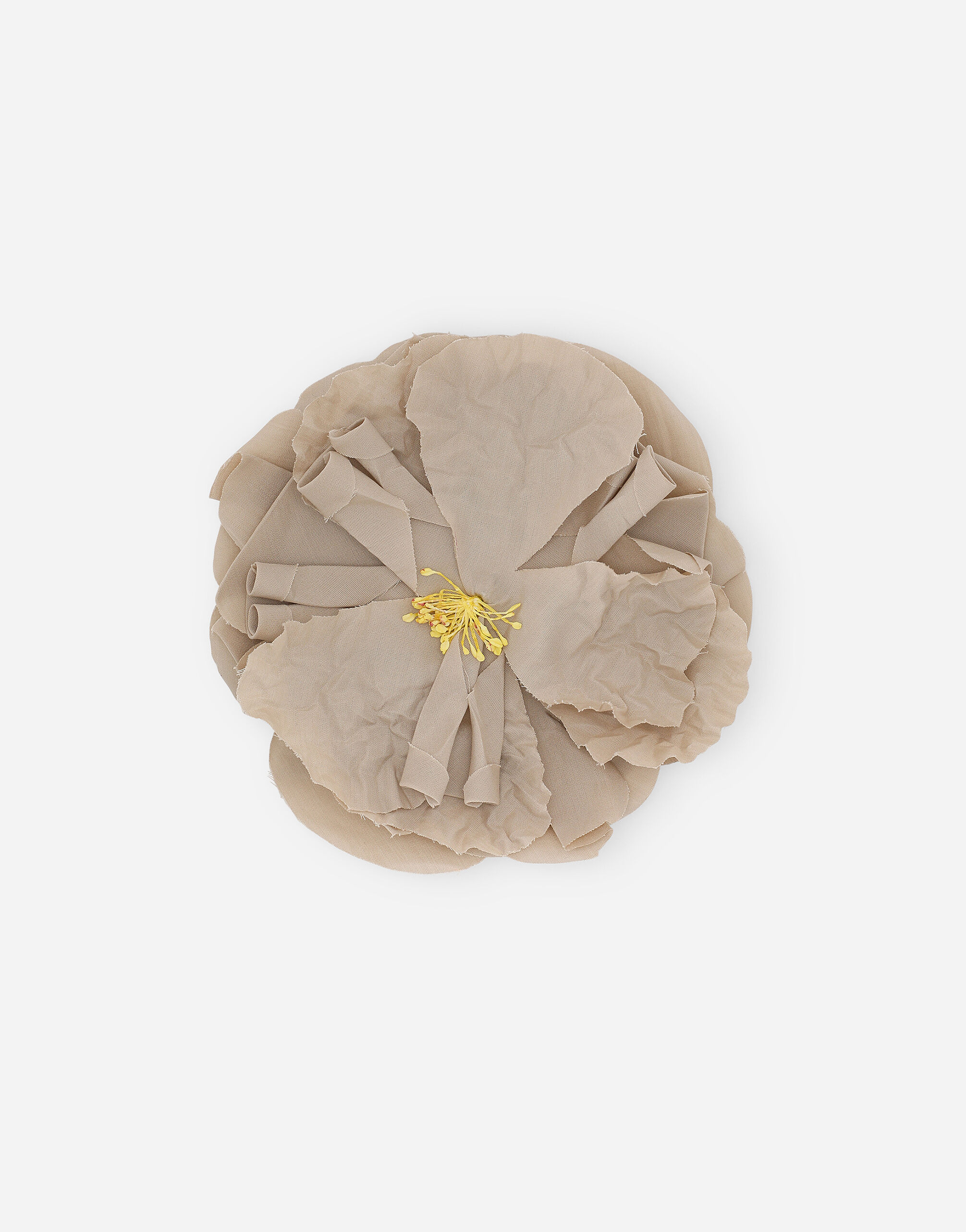 Floral poplin brooch in Beige for Men | Dolce&Gabbana® US