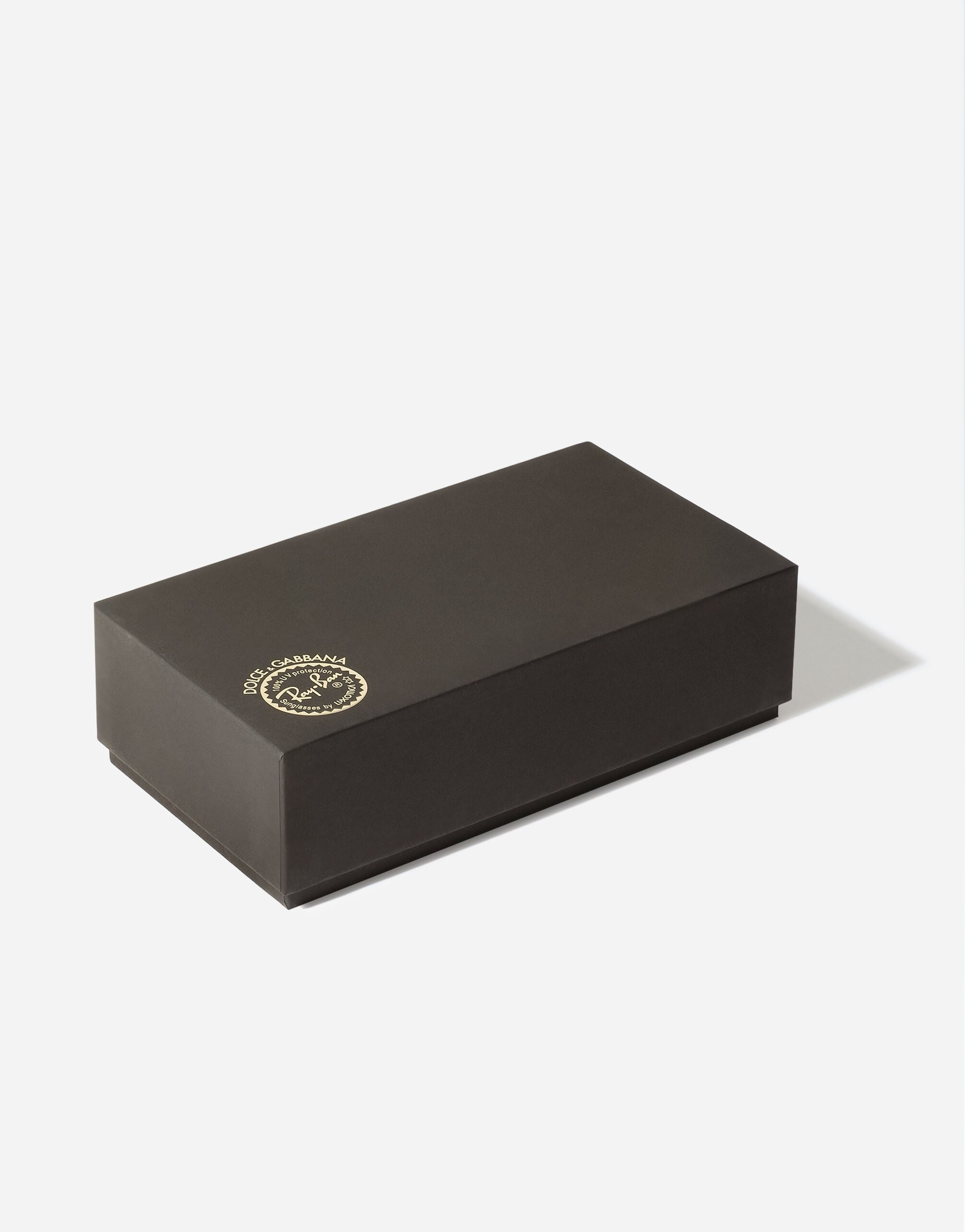 Dolce&Gabbana X RAY-BAN Sunglasses in Arista | Dolce&Gabbana®