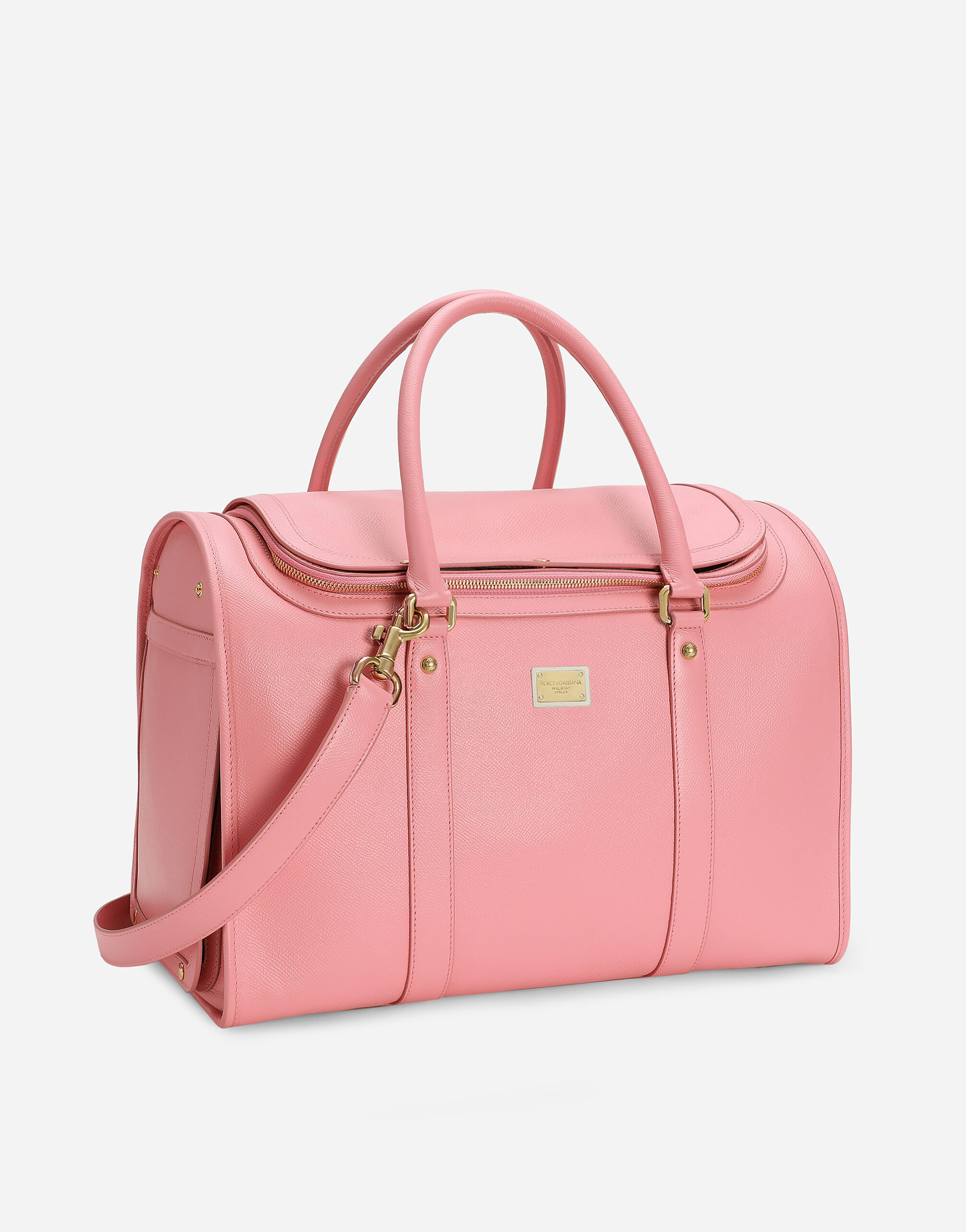Dolce and gabbana dog bag on sale